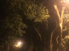 -武汉两江游览·夜游长江(汉口粤汉码头)