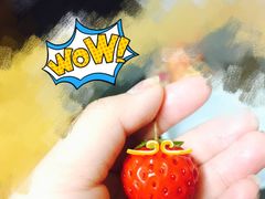 -青浦采草莓天天草莓园