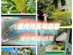 -三亚亚龙湾五号度假别墅酒店