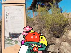 -鹫峰国家森林公园