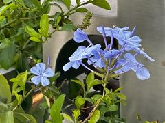 -BLUE HOUSE咖啡