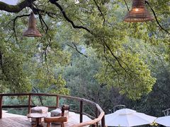 -重庆海昌加勒比海水世界