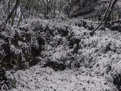 -青城山