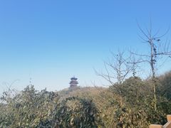 -杭州半山国家森林公园