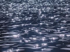 -西安市长乐公园