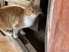 -田德能咖啡博物馆