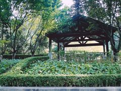 -春晖园度假酒店温泉