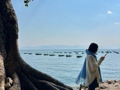 -抚仙湖禄充风景区