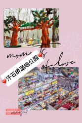 -汉石桥湿地童趣乐园