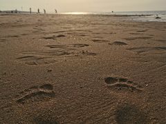 -那香海钻石沙滩浴场
