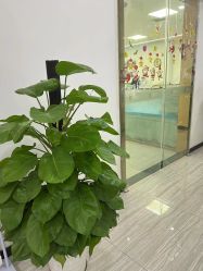 点击看大图 -悟空祛痘·亚健康皮肤管理中心