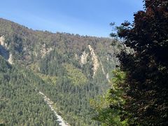 -九寨沟-树正沟