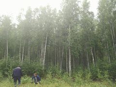 -北极村旅游风景区