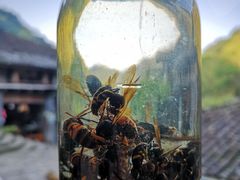 -林坑古村落