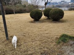 -东华大学(松江校区)