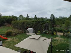 -同里国家湿地公园