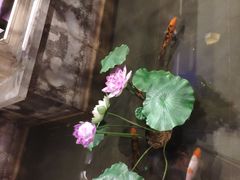 -锦绣金山人家(友谊店)