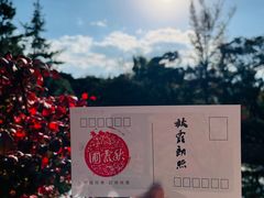 -秋霞圃