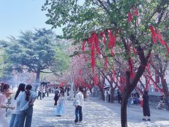 -西安青龙寺遗址景区