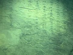 -白鹤梁水下博物馆