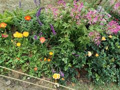 -人民公园(罗湖区)