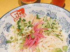 -大海碗·炸酱面·烤鸭·京菜(天坛店)