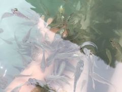 -苏州湾王焰温泉度假酒店