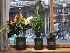 -infinite cafe
