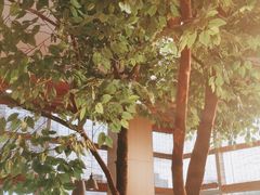 -蜜桃餐厅·伴山(湖滨商业街店)