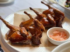 红烧乳鸽-勝記酒家·37年老字号·经典粤菜(荔枝公园店)