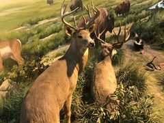 -陕西自然博物馆