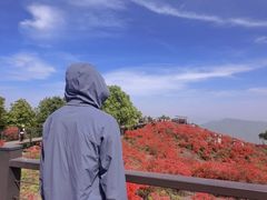 -瑞安圣井山景区