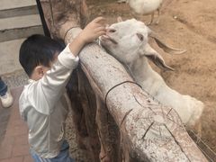 -石家庄市动物园