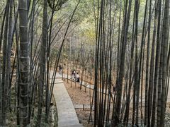 -敬亭山风景名胜区