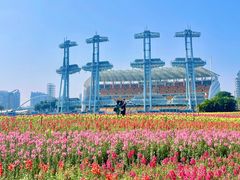 -海心沙亚运公园