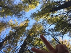 -白草畔自然风景区