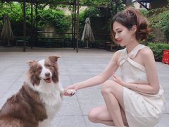 -嘉善老市