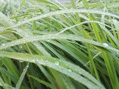 -千龙湖生态旅游度假区