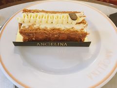 拿破仑-Angelina(老佛爷店)