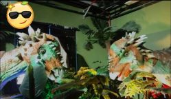 -恐龙探索乐园(磁器口店)