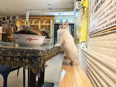-平行世界·猫咖(首经贸店)