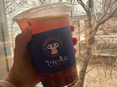 -了不起的考拉咖啡店(高新店)