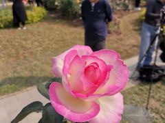 -人民公园(罗湖区)