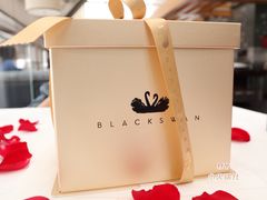 -BLACKSWAN黑天鹅(环球店)