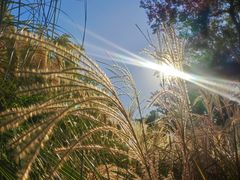 -上海山野camping·户外天幕烧烤·团建拓展营地