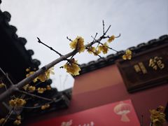 -海底捞火锅(银泰中心店)