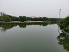 -大兴滨河森林公园