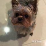 老大叫悠悠，老二叫躲躲。一个一个九岁，一个五岁了