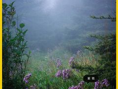 -白草畔自然风景区