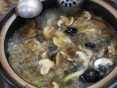 -乳仔牛牦牛汤锅 烤羊排(松潘古城店)